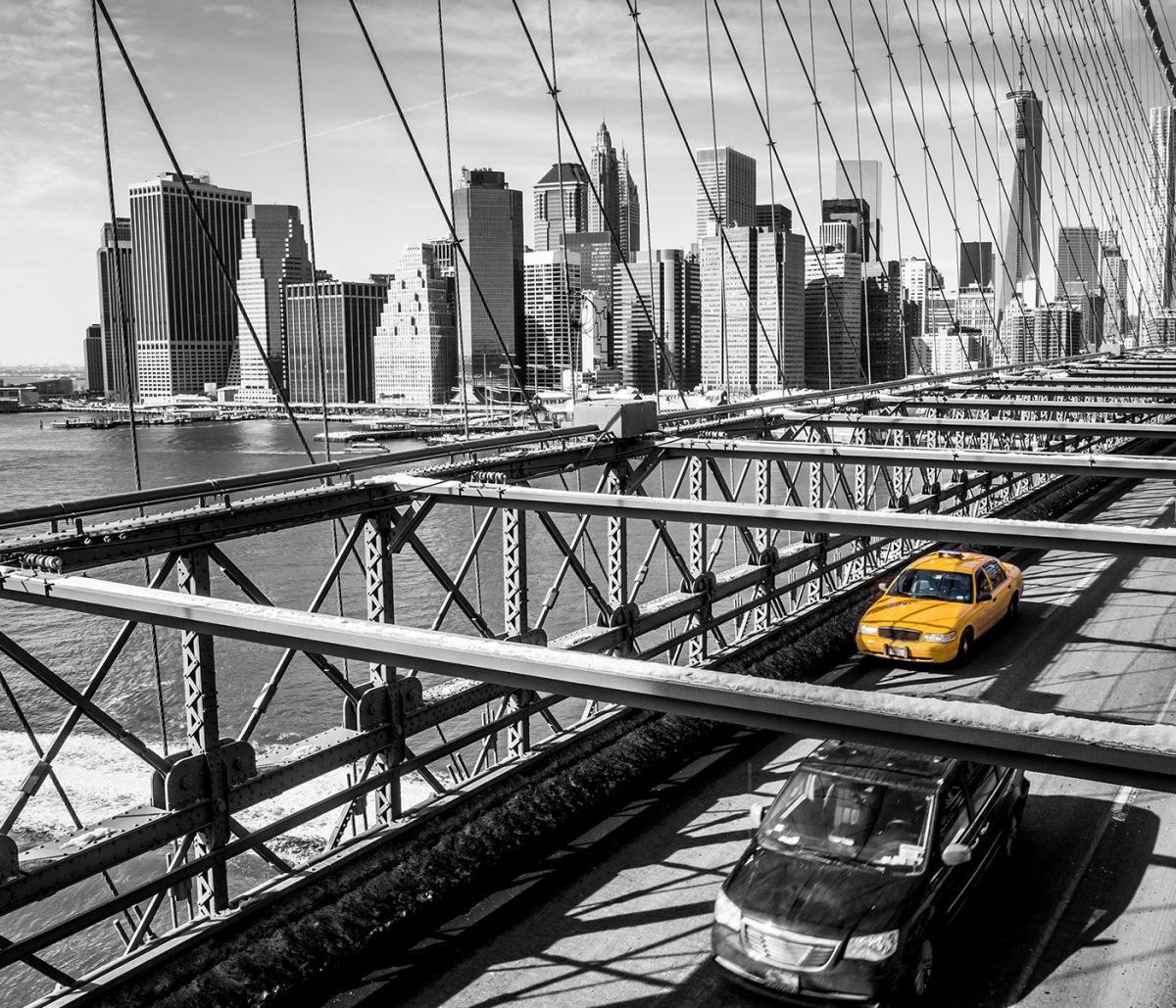 Blackpool polices hunt for David Schwimmer